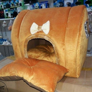 Sevimli it ve piwikler ucun Istenilen Mehsulu en s