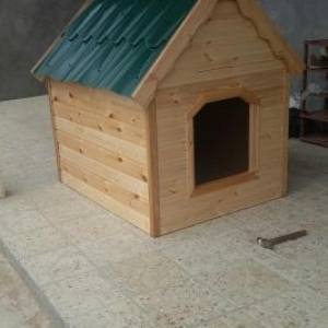 it yivasi. olculer yaxwidi her olcude it yerwer icene. laklanib. ico i