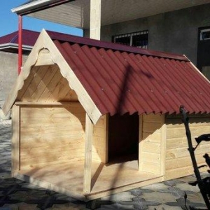 It ucun yuva laklanir izalasiya olunub ici. Her ol