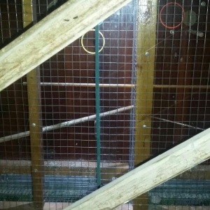 papuqaylar üçün iri qəfəs hər bir şəraiti var çoxlu papuqay salmaq ola