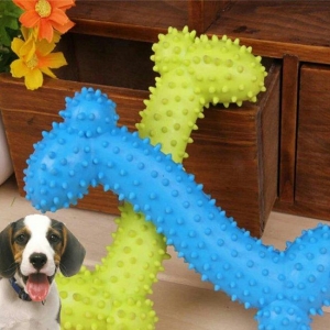 it ve piwikler ucun istediyniz mehsulu onlayn olaraq bizden elde ede b