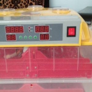 Inkubator ela veziyetdedi tam aftamatiqdi 72 eded toyuq yumurtasi tutu