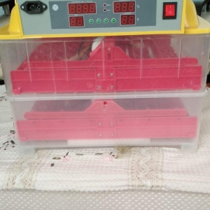 Inkubator ela veziyetdedi tam aftamatiqdi 72 eded toyuq yumurtasi tutu