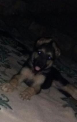 zehmet olmasa oxuyun xais edirem