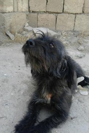 hediyye verilib satiram baxmaga werayitim yoxdu diwid