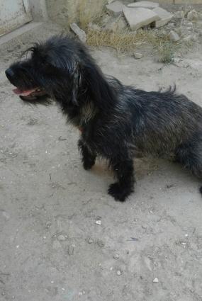 hediyye verilib satiram baxmaga werayitim yoxdu diwid