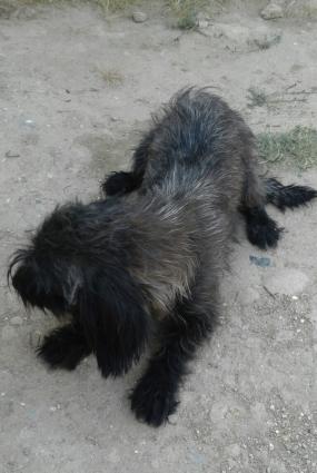 hediyye verilib satiram baxmaga werayitim yoxdu diwid