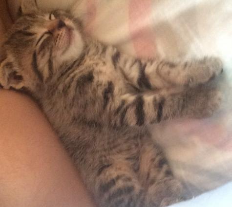 iki ayin piwiyidi cox gozel piwikdi ozu quma gedir erkek pimwikdi pora