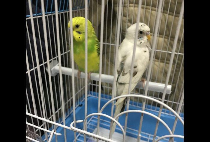 Продаётся! купили недавно ,из за того что дома маленький ребёнок не