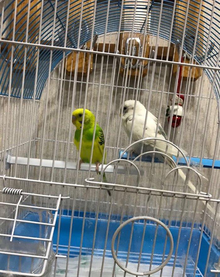 Продаётся! купили недавно ,из за того что дома маленький ребёнок не