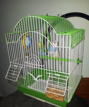 TUTUQUSU SATILIR QEFESI ILE BIRGE