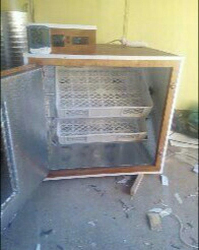 hər ölçüdə inkubator yiqilir tam aftamat və zəmanət verilir