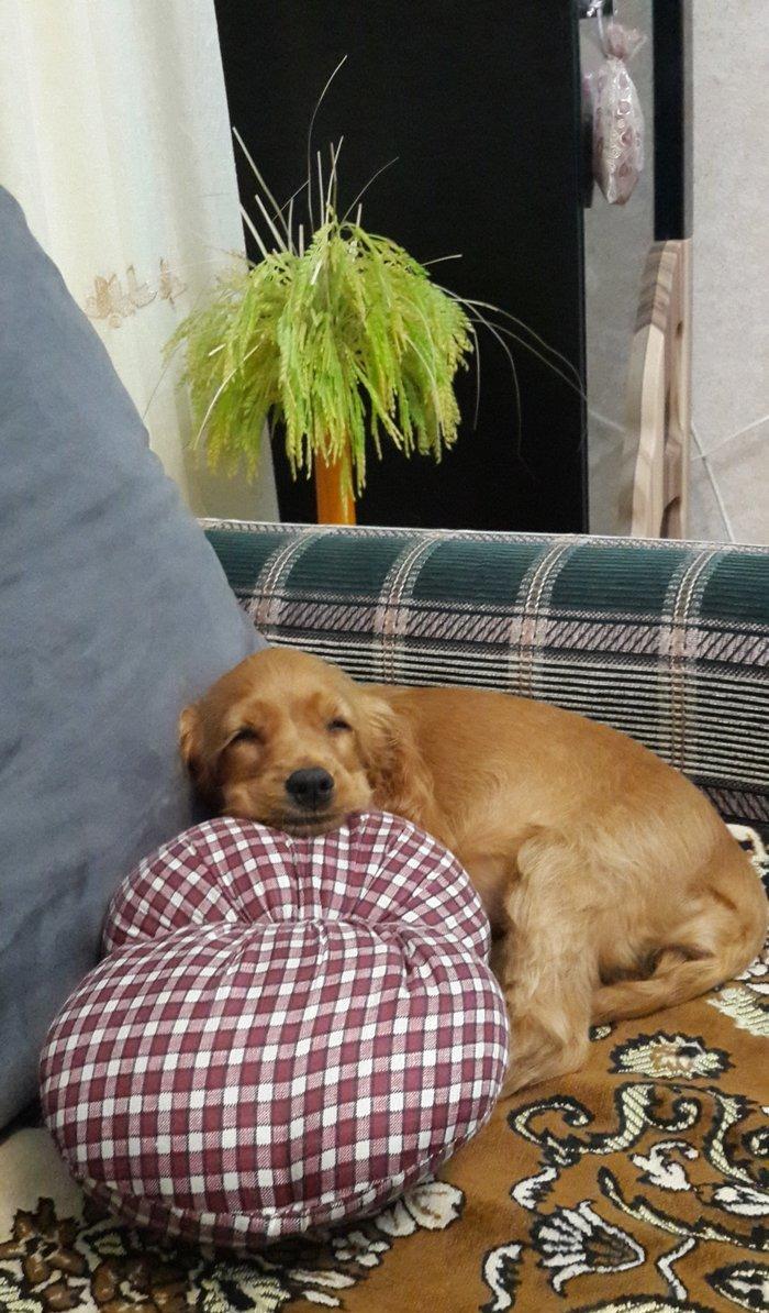 Tam oxuyun melumat tam alin
temiz fransiz iti bala gold koker