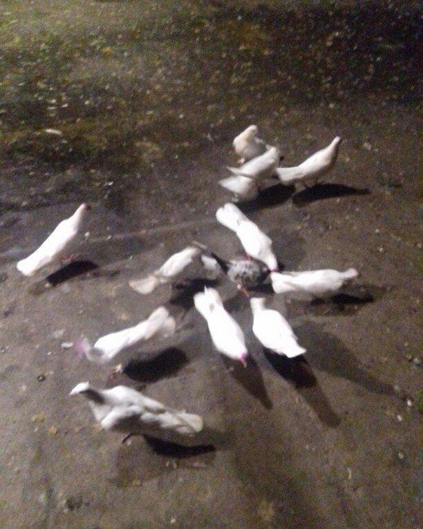 16 17 18 tukler real alici narahat elesi konturu olmaya yazmasin ancaq