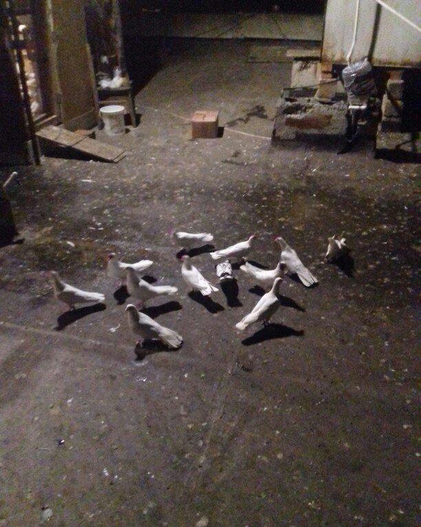 16 17 18 tukler real alici narahat elesi konturu olmaya yazmasin ancaq