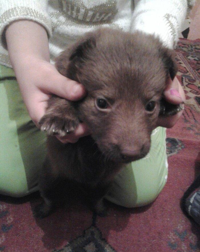 salam xaski gozderi goydur ama Qaranligdi deye Gozderi qara gorsenir w