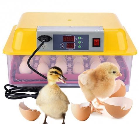 32 yumurtalıq tam avtomatik İnkubator (cücə çıxaran aparat ) tam yen