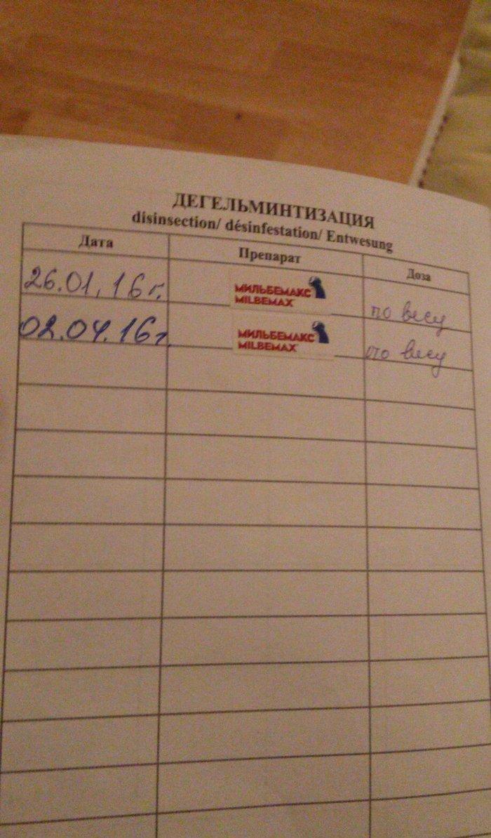 Tecili! Pameranski Spis butun senedleri ile esyalari ile birge 800 man