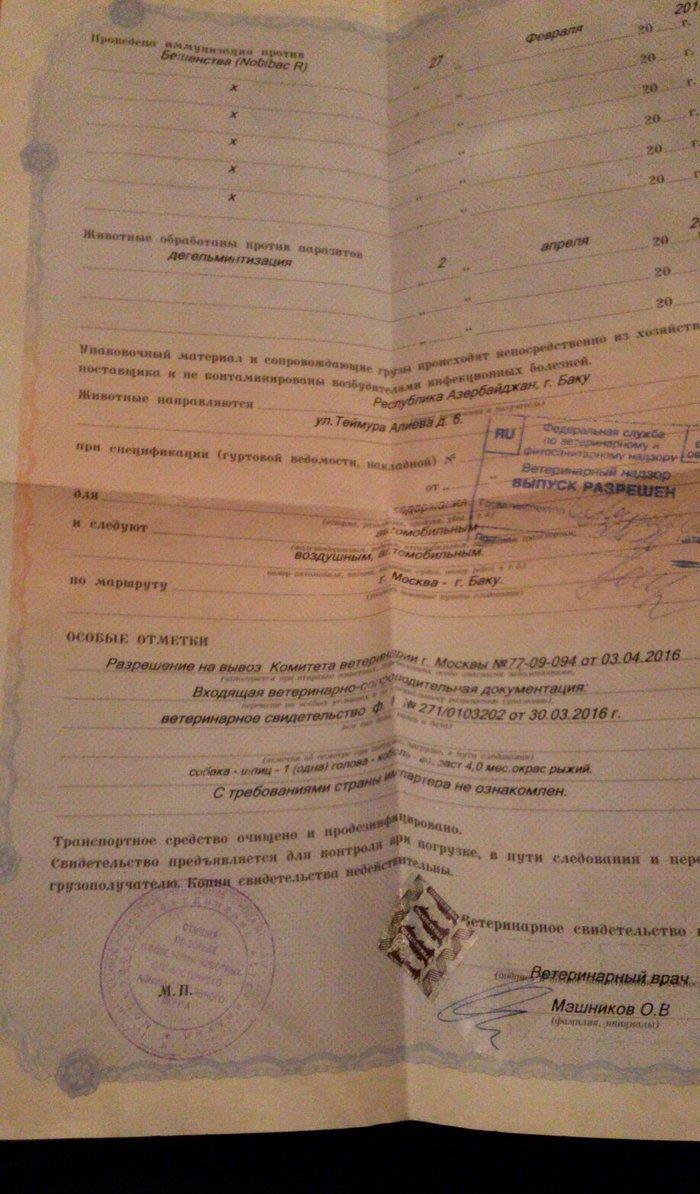 Tecili! Pameranski Spis butun senedleri ile esyalari ile birge 800 man