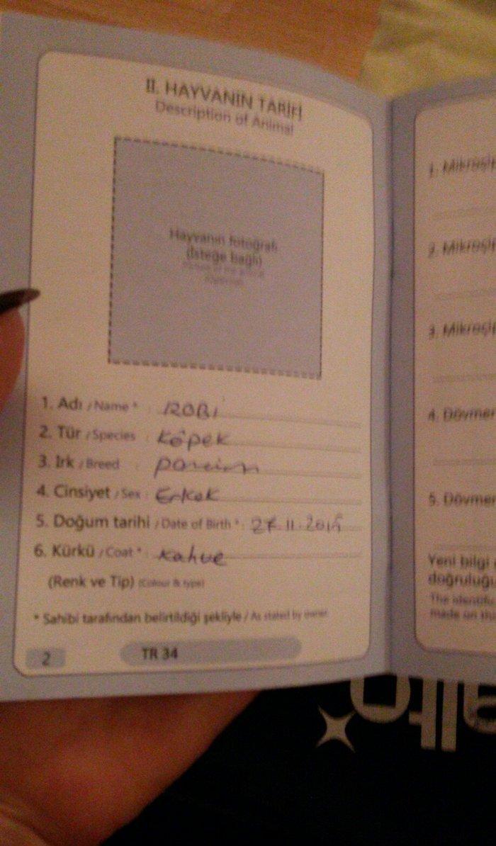 Tecili! Pameranski Spis butun senedleri ile esyalari ile birge 800 man