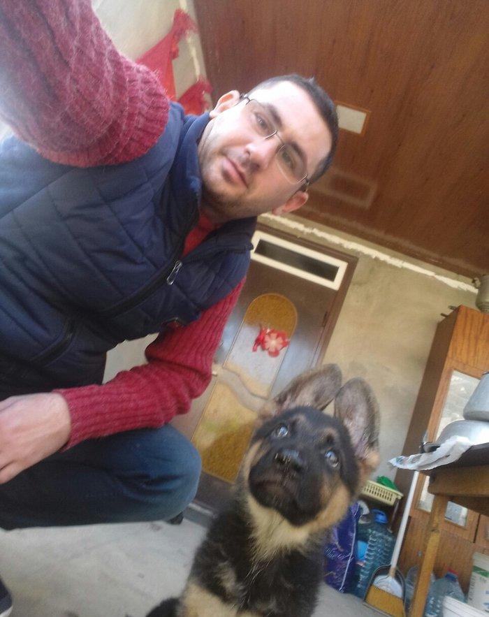 Ovcarka satilir Sentiyabrin 6 si anadan olub Diwidi (QIZ) TEMIZ QANDI