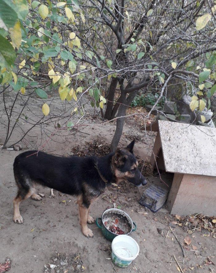 Temiz nemeski afcalkadir erkekdir bu ayin iynesi vurulmalidir 1yas 6 a