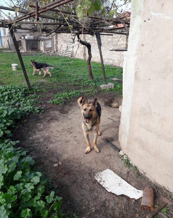 Salam tecili satilir xarice gedirem ona gore bala vaxtindan ozumde olu