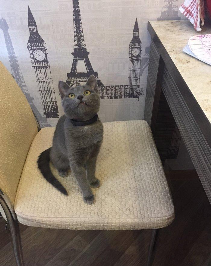 satilir ev pishiyi paroda 50 azn ustunde yemek qabisi ve lotok