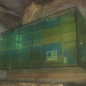 2 metre qeder akvariumlar