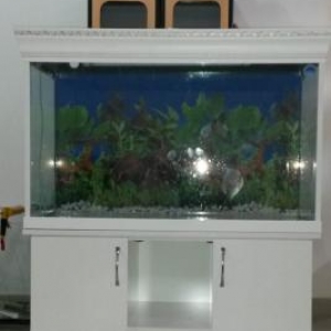 Müxtəlif ölçü və dizaynda akvarium sifarişləri qəbul edilir.