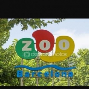 Zoo Alemine Aid Her 1 Levazimatlar
