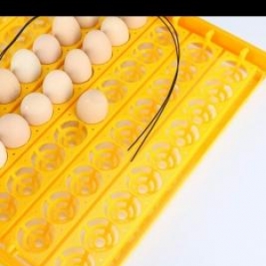 Inkubator ucun avtomat yumurta conderen.