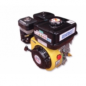 Energy SKE 160 Benzinli Motor