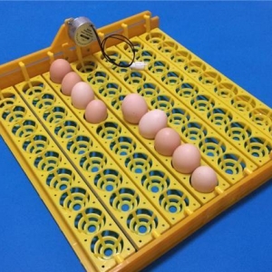 Inkubator üçün 63 yumurta fırladan