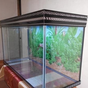 Akvarium siafariwleri  qebul olunur bu vidde