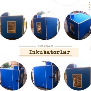 Inkubatorlar