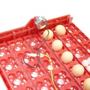 İnkubator üçün 144 yumurtalıq Avtomatik Yumurta fırladan Aparat.İstəyə