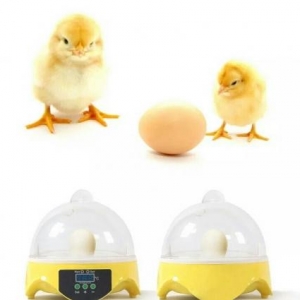Yeni ,Qutusunda 7 Yumurtalıq İnkubator Satılır.