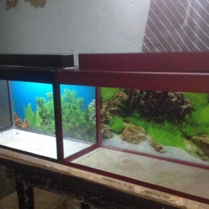 Wekildeki akvariumlar eyni qiymetedi  mebel rengde ve qara