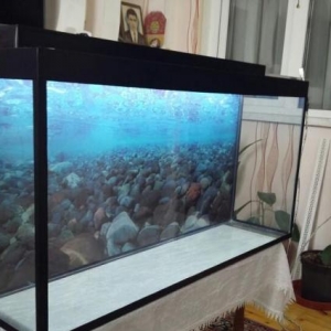 Teze akvarium endirim qiymete 125litre