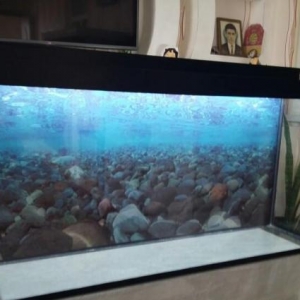 Teze akvarium endirim qiymete 125litre