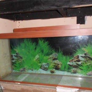 teze 1 metrelik akvarium endirimli qiymet bawqa olculerdede var