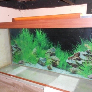 teze 1 metrelik akvarium endirimli qiymet bawqa olculerdede var