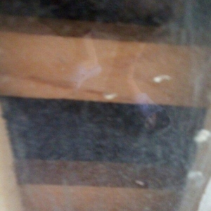 Ela cixiw verir ozum ygmiwam. Xaladelnikden. Wekilde gorduyunuz cucele