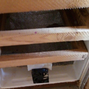 Ela cixiw verir. 170 toyug yumurtasi tutur. Wekildeki cuceler bu inkub