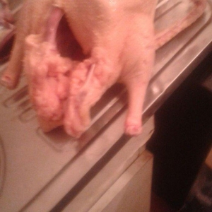 Salam.tam saglam və bəslənmiş qaz və ördəylər.həm diri həmdə.kəsilib