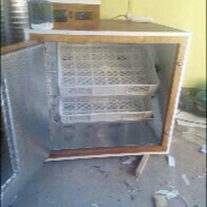 hər ölçüdə inkubator yiqilir tam aftamat və zəmanət verilir