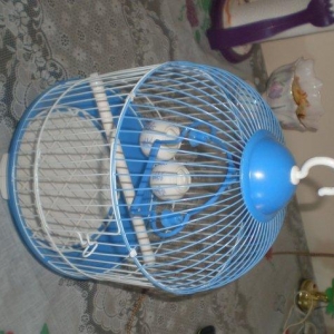 Salam! Tutuqusu qefesleri satilir her rengi var. Hamisi yenidi birgun