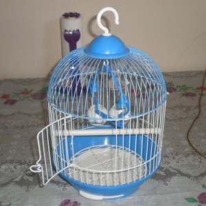 Salam! Tutuqusu qefesleri satilir her rengi var. Hamisi yenidi birgun