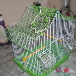 Salam! Tutuqusu qefesleri satilir her rengi var. Hamisi yenidi birgun